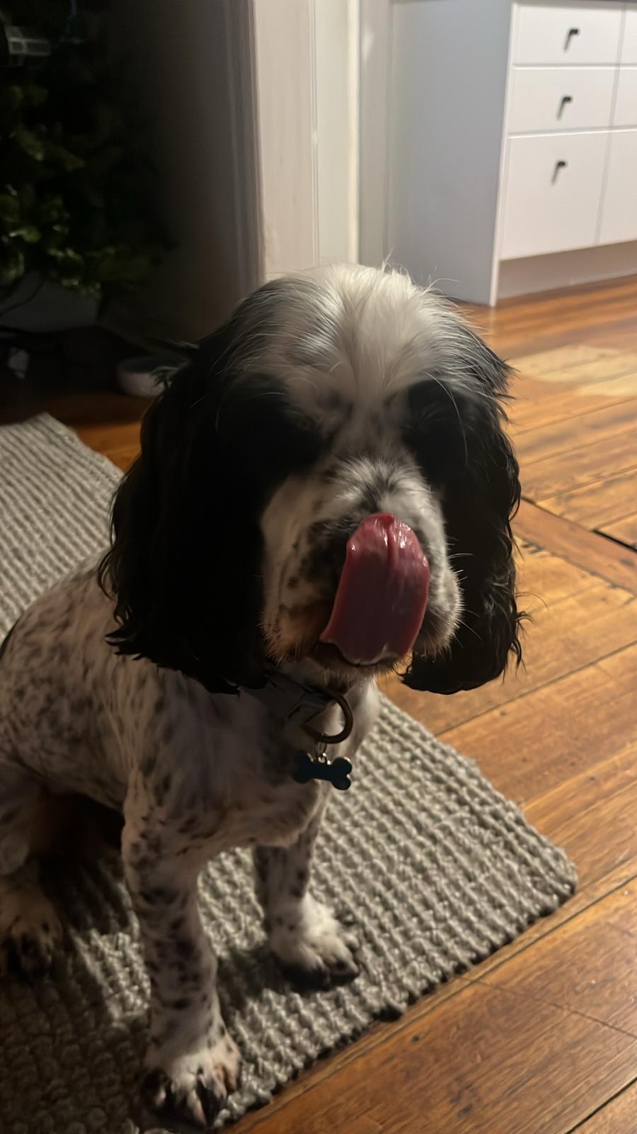 Morty